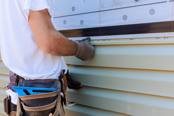 Affordable Siding Repair solutions in Lexington, MN